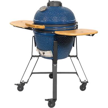 Kamado hotsell style grill